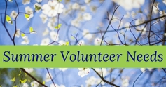 Summer%20volunteer%20needs